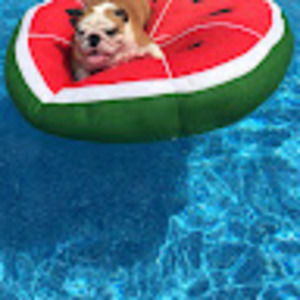 Meet your Posher, Loni